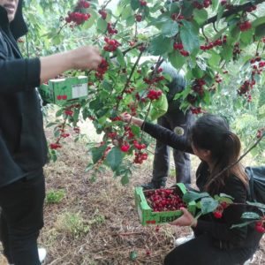 actividades y agroturismo valle del jerte