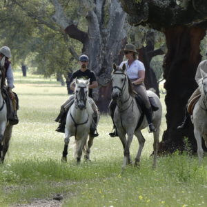 rutas a caballo monfrague