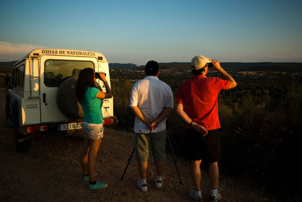 observación de aves en monfrague