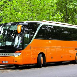 visitas guiadas en autobus por El Valle del jerte y monfrague