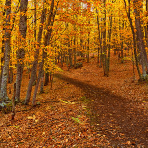 Ruta 4x4 Otoño en El Valle del jerte