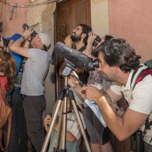 observación de aves plasencia