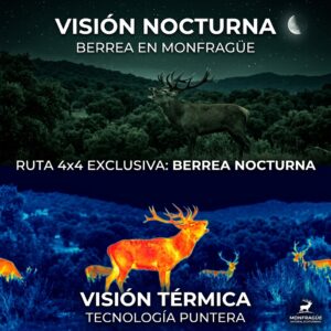 berrea nocturna monfragüe